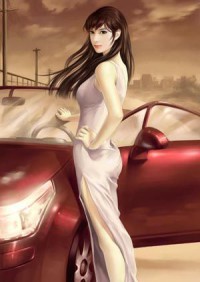 正气寻妇录