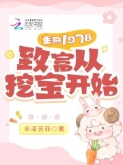 重回1978:致富从挖宝开始