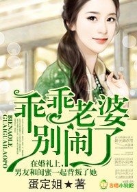 乖乖老婆,别闹了